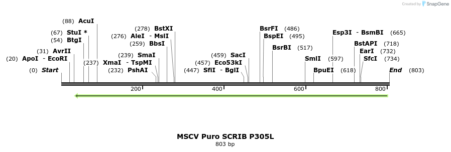 204808_map