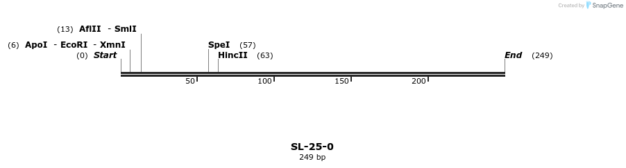204910_map