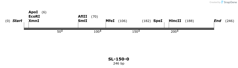 204914_map