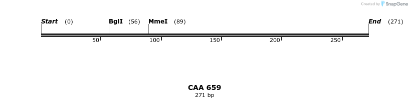 204933_map
