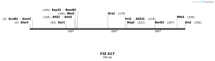 204938_map