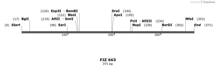 204946_map