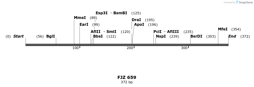 204947_map