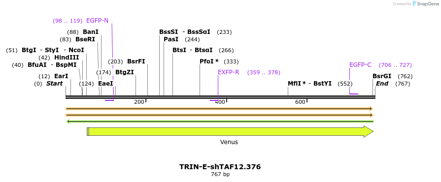 204957_map