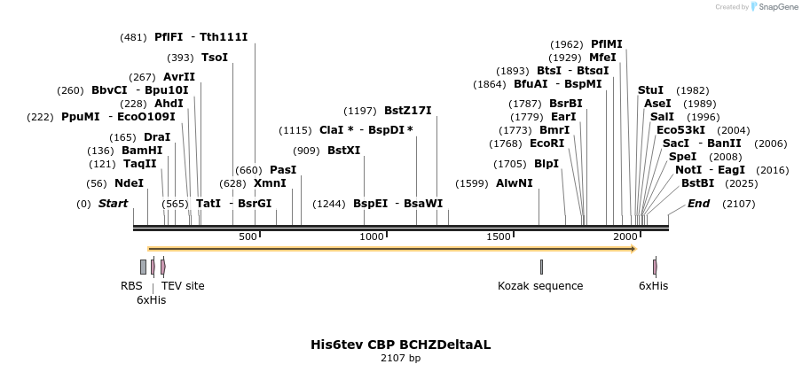 204975_map