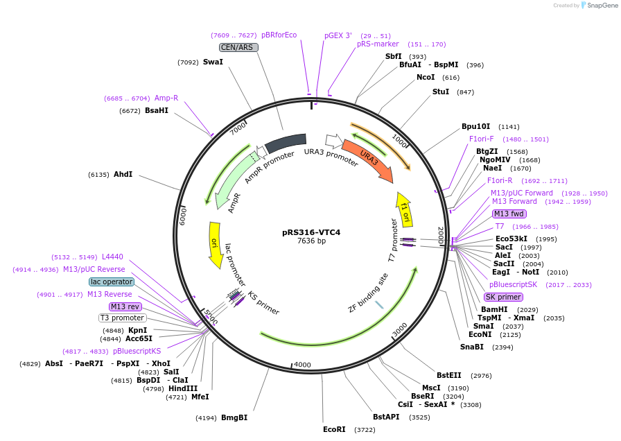 205003_map
