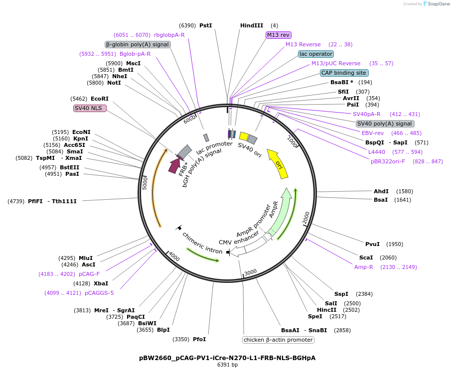 205018_map