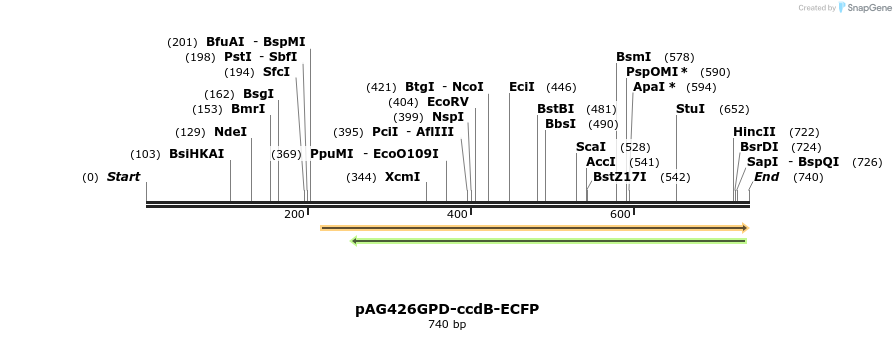 20505_map
