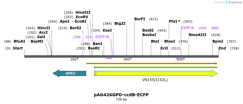 20507_map