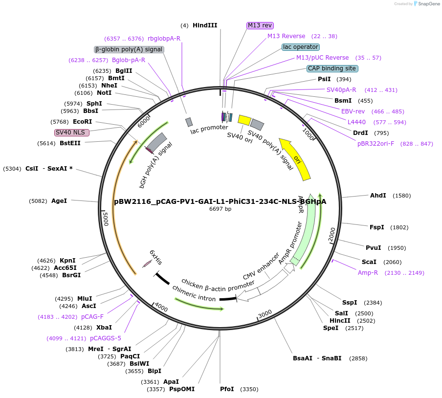 205087_map