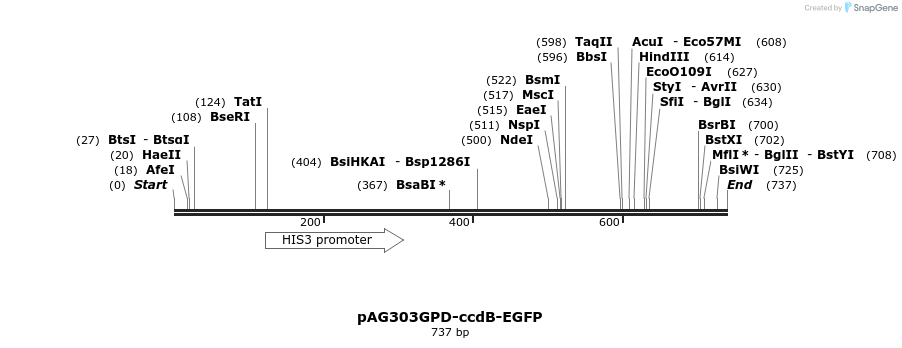 20511_map