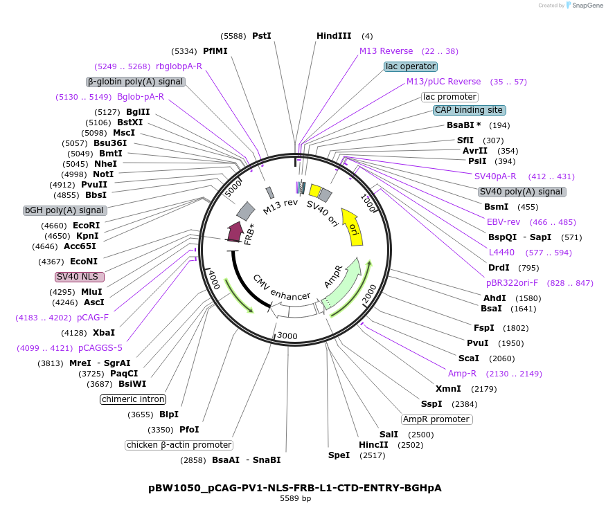 205116_map
