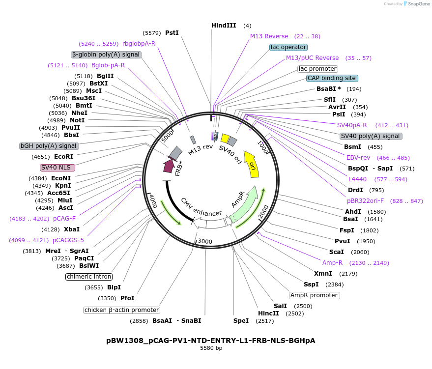 205117_map