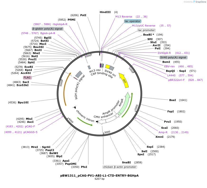 205120_map