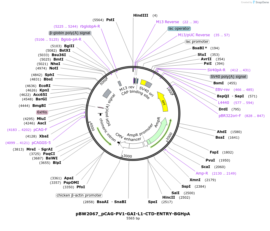 205126_map