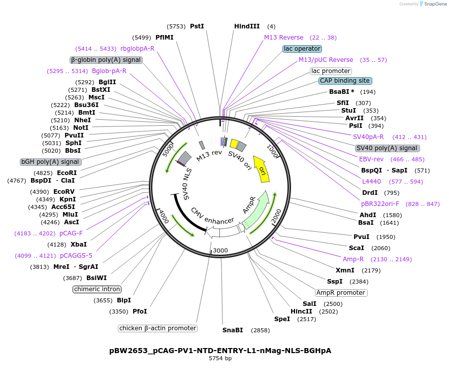 205127_map