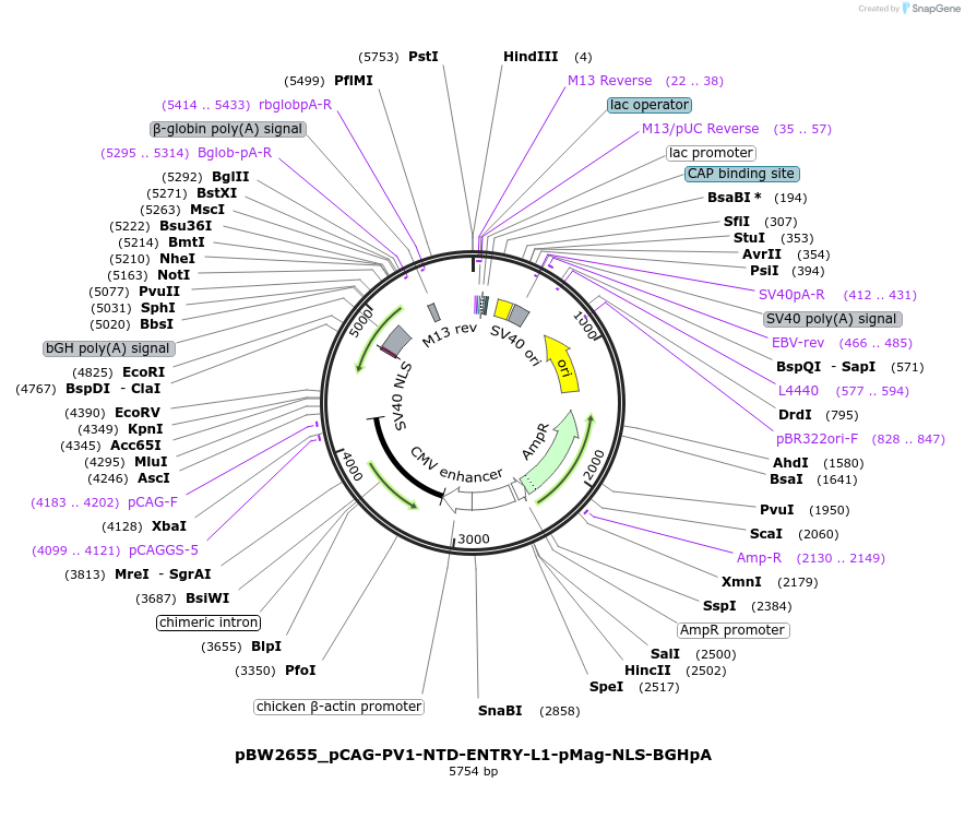 205129_map