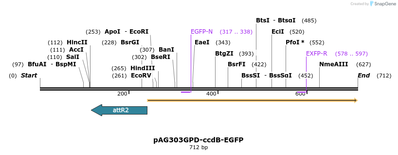 20513_map