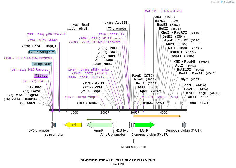 205138_map
