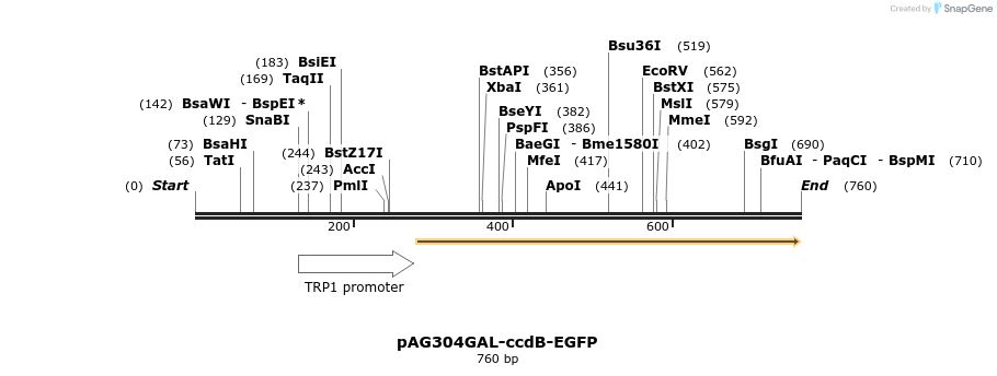 20514_map