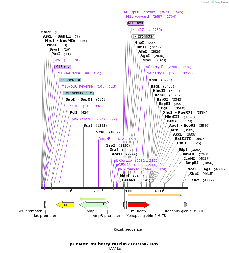 205141_map