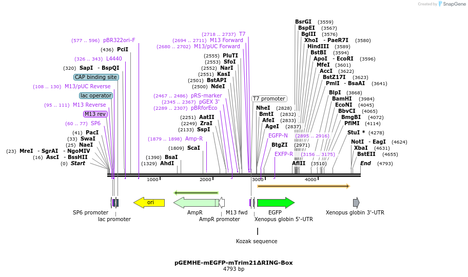 205143_map
