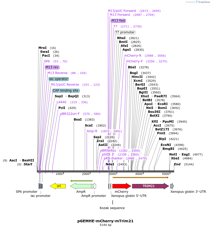 205148_map
