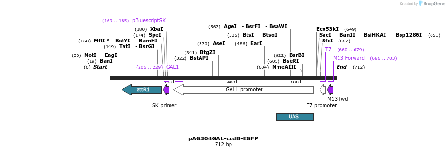 20515_map