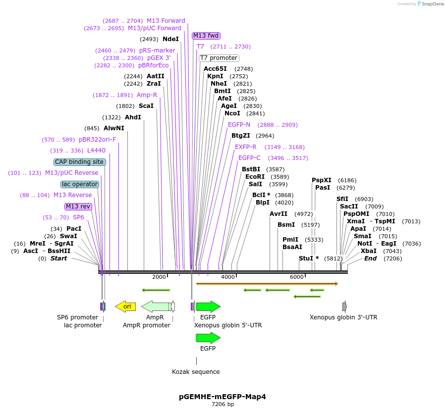 205152_map