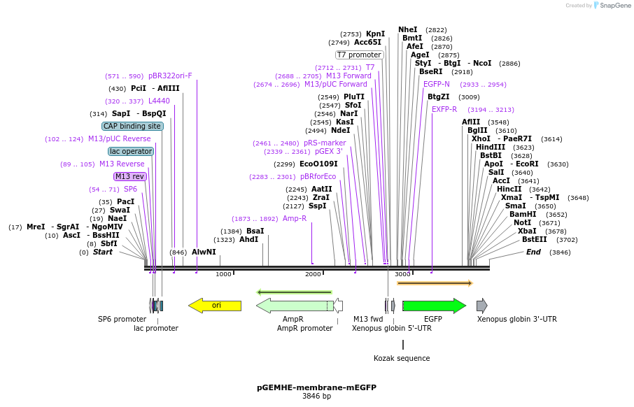205157_map
