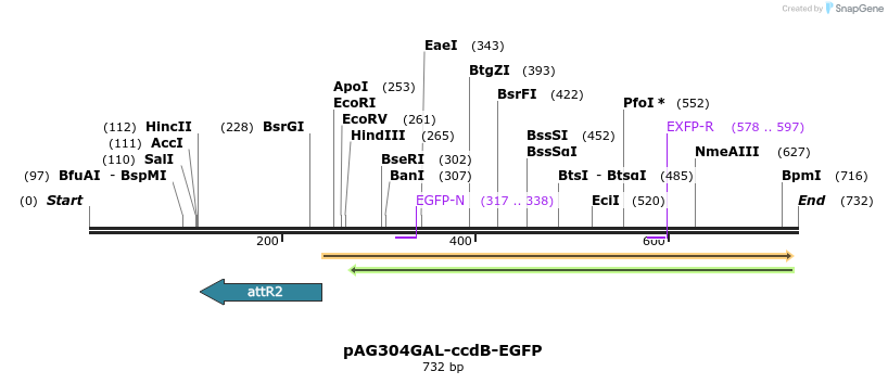 20516_map