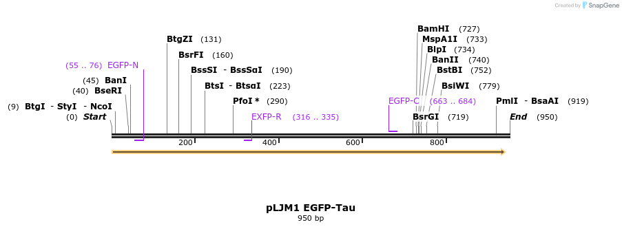 205168_map