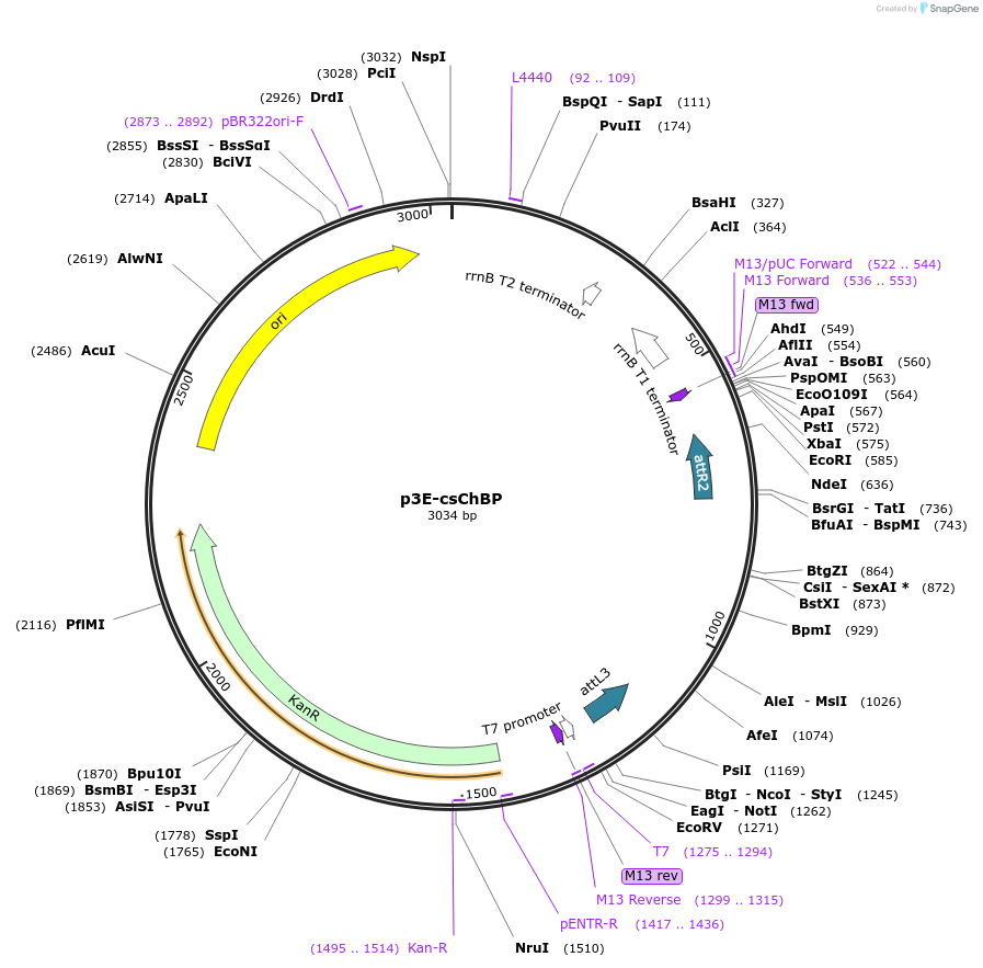 205182_map
