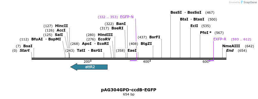 20519_map