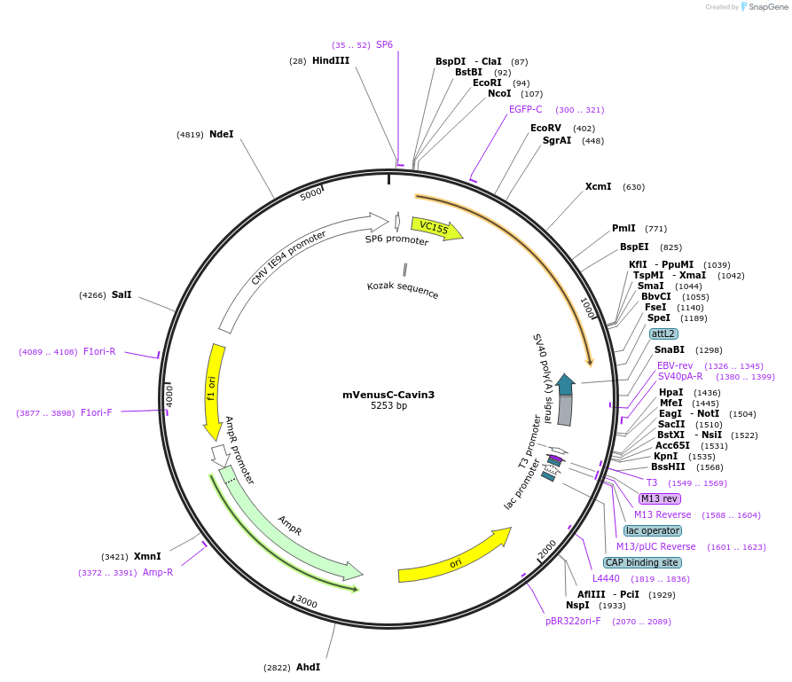 205190_map