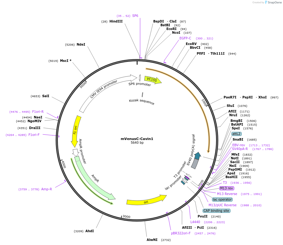 205192_map