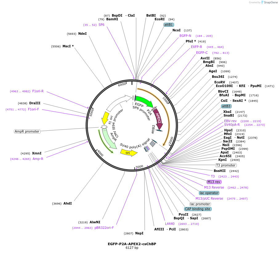 205200_map
