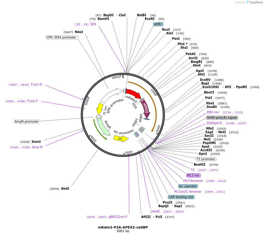 205201_map