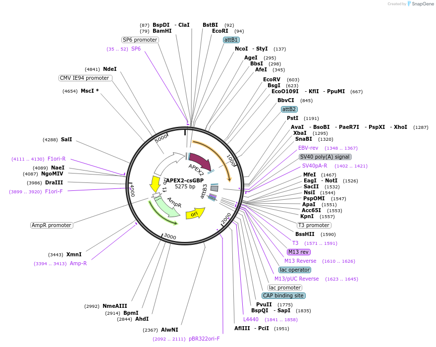 205202_map