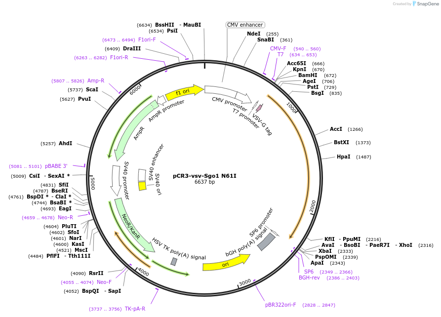 205208_map