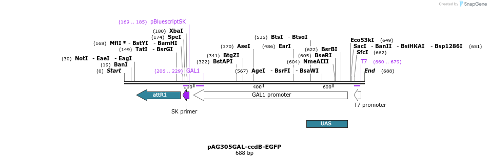20521_map