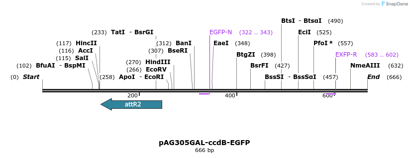 20522_map