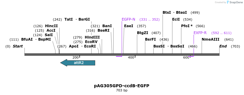 20525_map