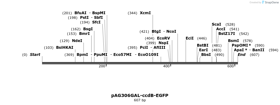 20526_map