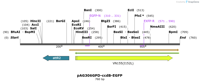 20529_map