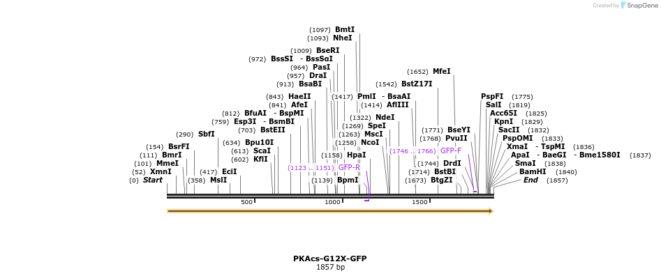 205291_map