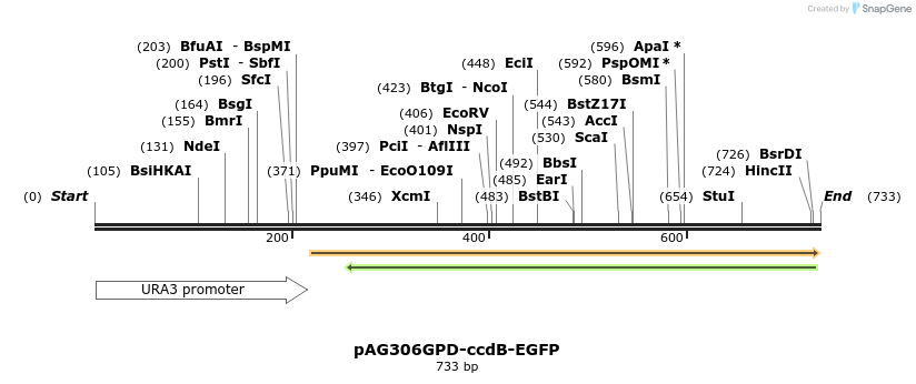 20530_map