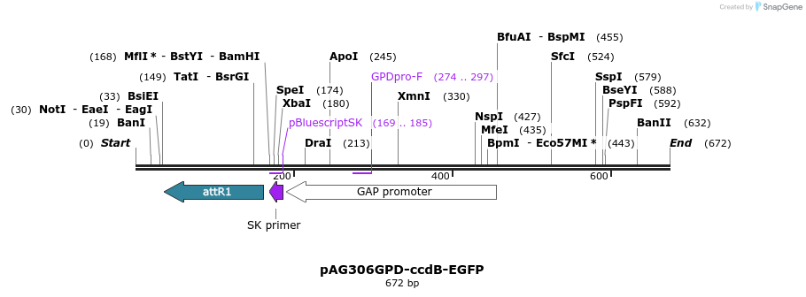 20531_map
