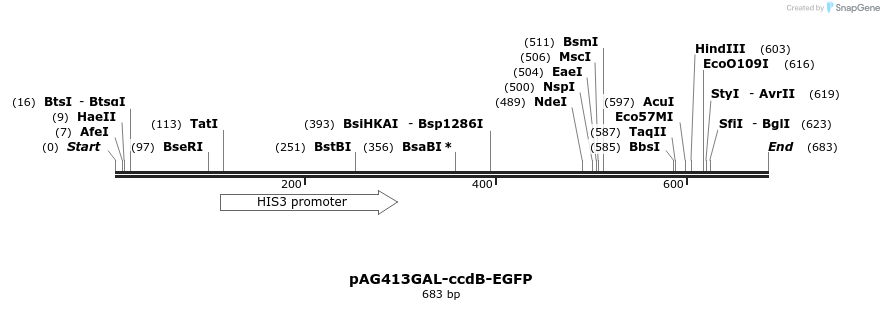 20532_map