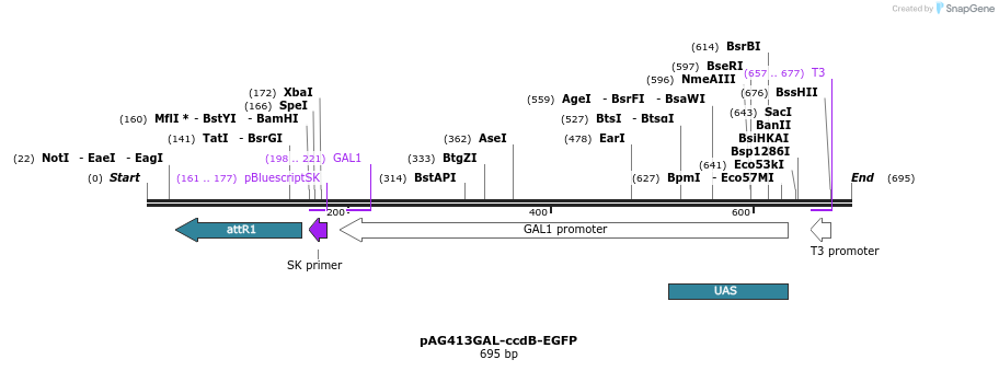 20533_map